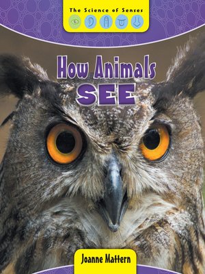 cover image of How Animals See